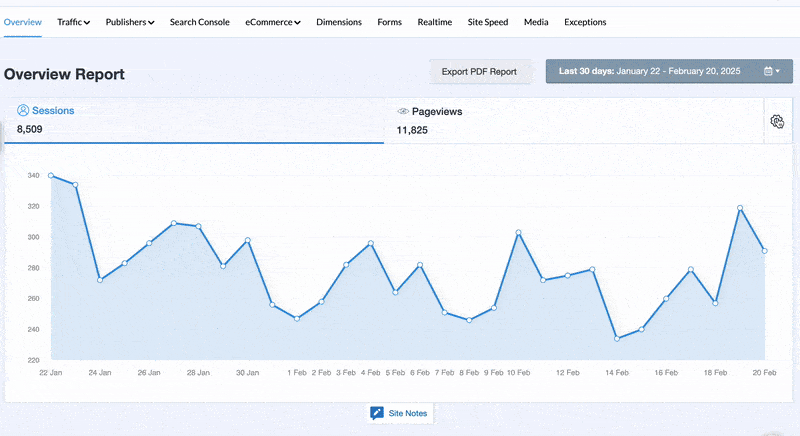 mi-overview-tabs - MonsterInsights