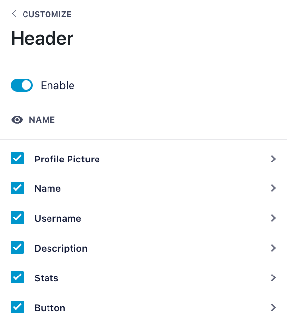 header-customize - MonsterInsights TikTok Feeds Pro