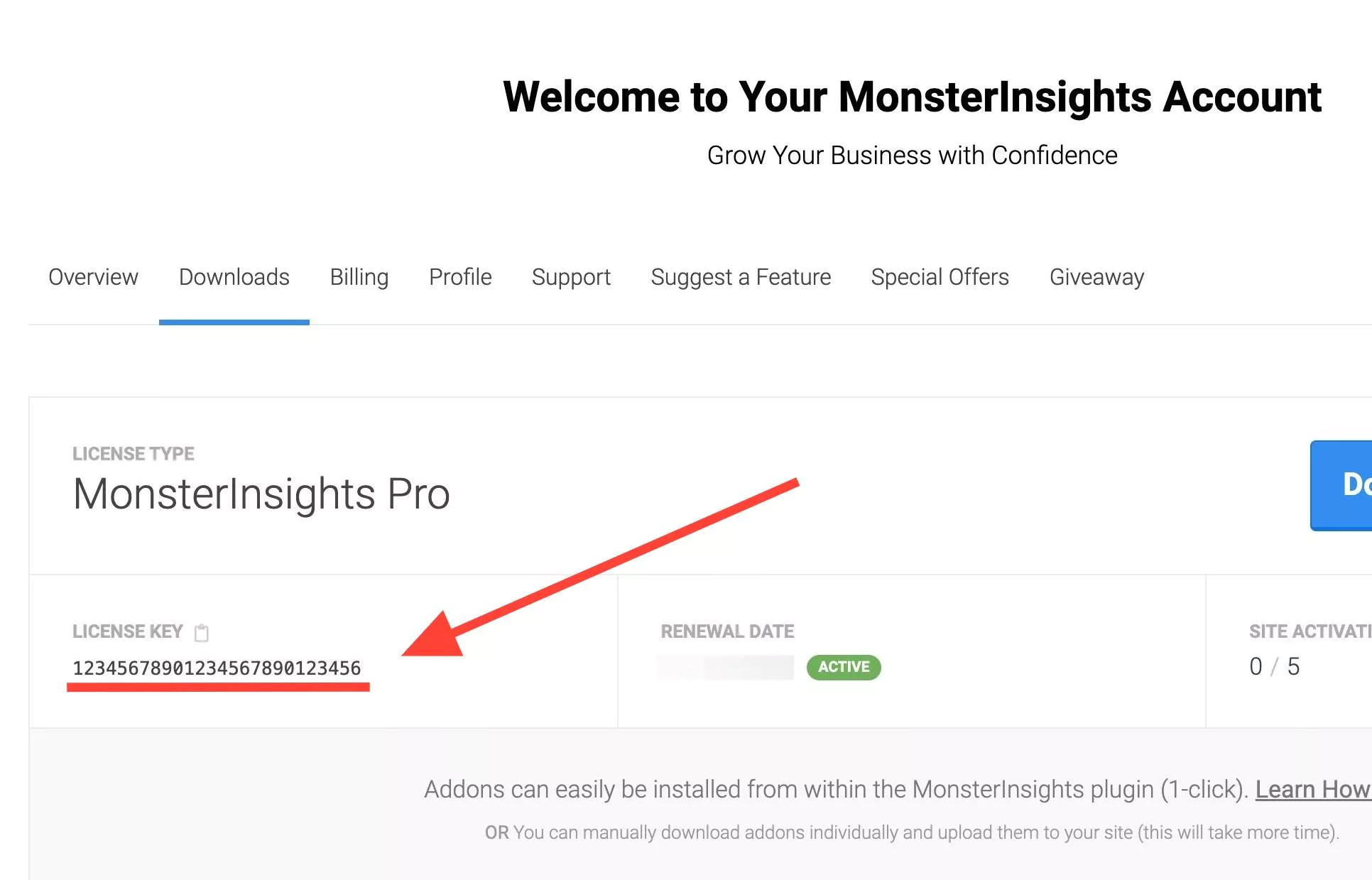 mi-account-license-key - MonsterInsights