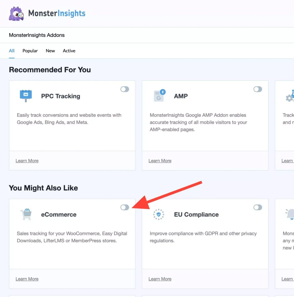 mi-addons-ecommerce-2 - MonsterInsights