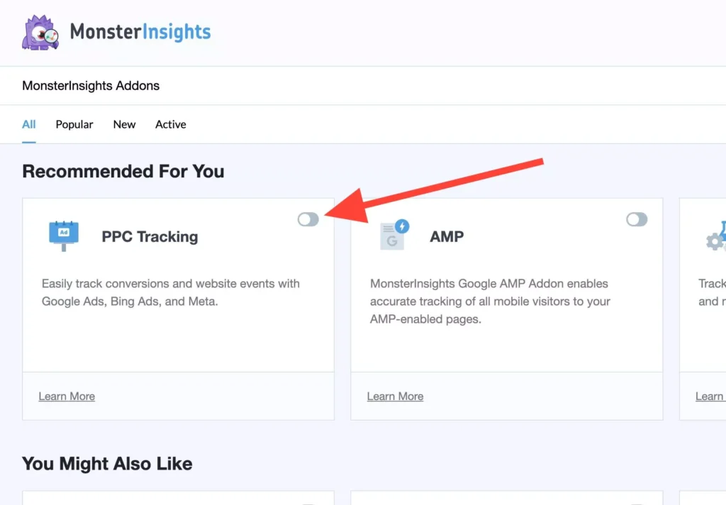 mi-addons-ppc - MonsterInsights