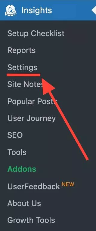mi-settings-2 - MonsterInsights